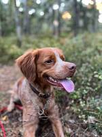 Två Bretoner - Zeb och Mercedes Två Bretoner - Zeb och Mercedes