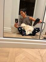 Maltipoo