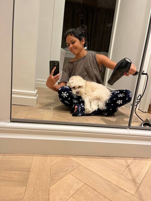 Hund - Maltipoo