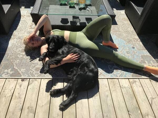 Hund - Flatcoated retriver blandning 