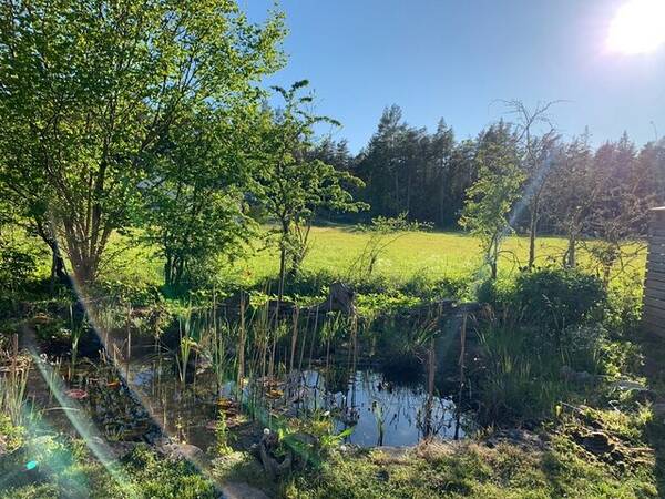 Sommarstuga - Fritidsboende p Gotland