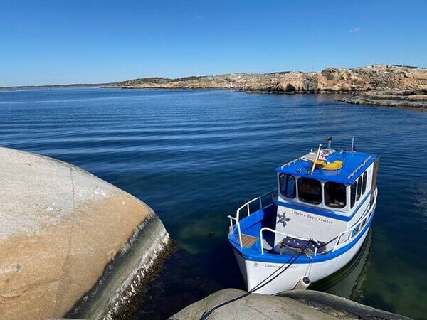Fordon - Fiskebt