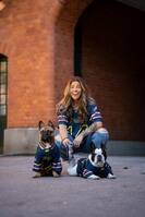 Fransk bulldog  Fransk bulldog