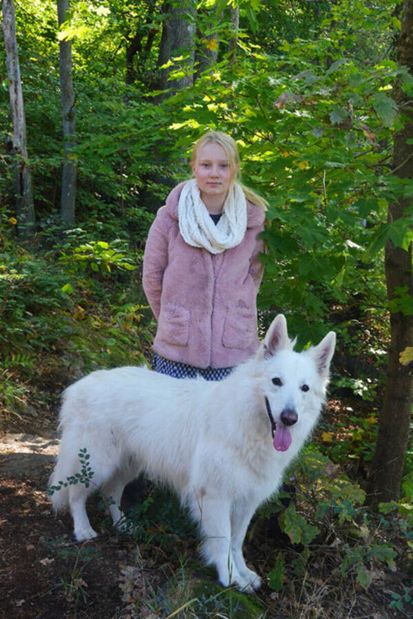 Hund - Nero, lnghrig vit herdehund