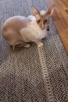 Spontan nyfiken kärleksfull Spontan nyfiken kärleksfull