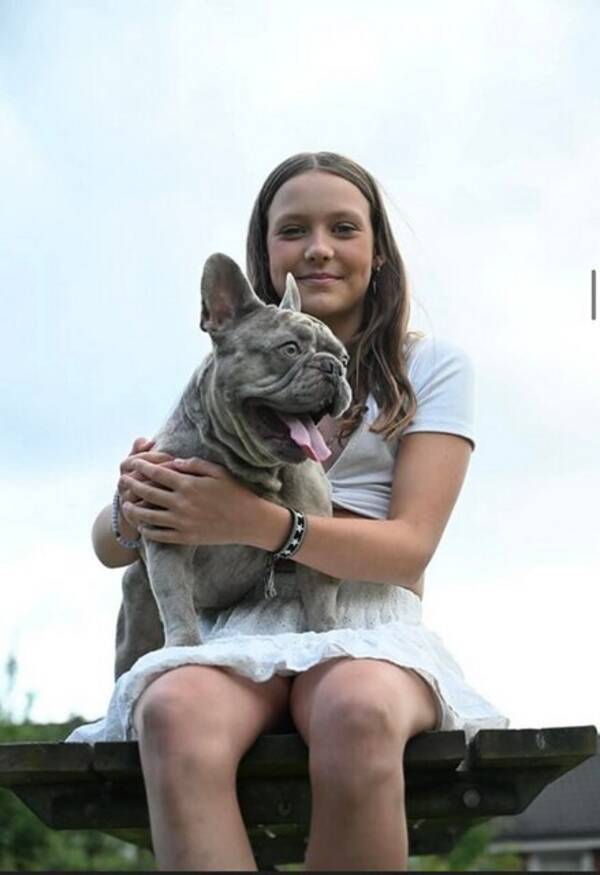 Hund - Lennon Fransk Bulldog 