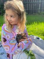 Kaninerna Candy och Lollipop Kaninerna Candy och Lollipop