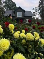 Villa p landet p Segerstad i Vrmland 