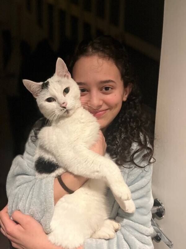 Katt - Katt som heter Olof  Katt - Katt som heter Olof