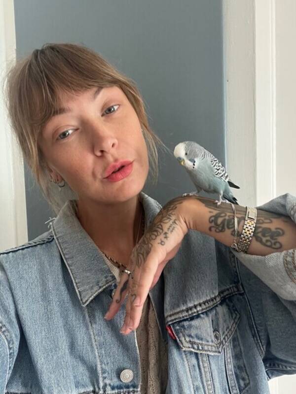 Övrigt - Undulaten Coco Övrigt - Undulaten Coco