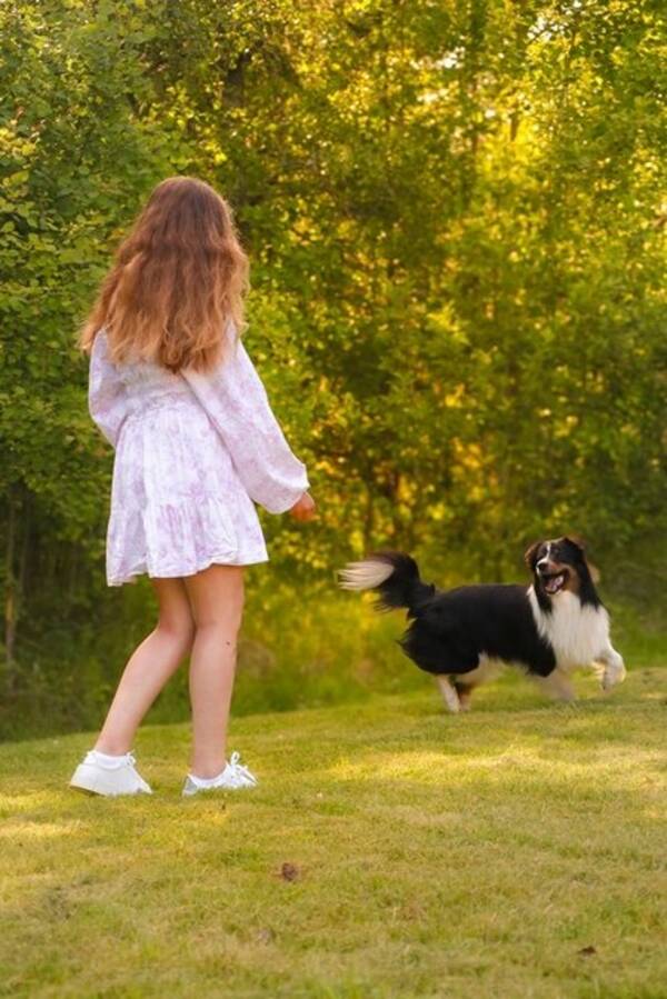 Hund - Charlie 