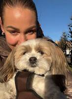 Lhaso Apso Lhaso Apso