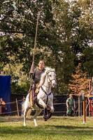 Hästen Numero Hästen Numero