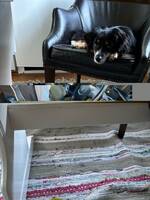 Sally 2 år Sally 2 år