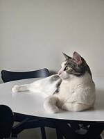 Min son Sanji Min son Sanji