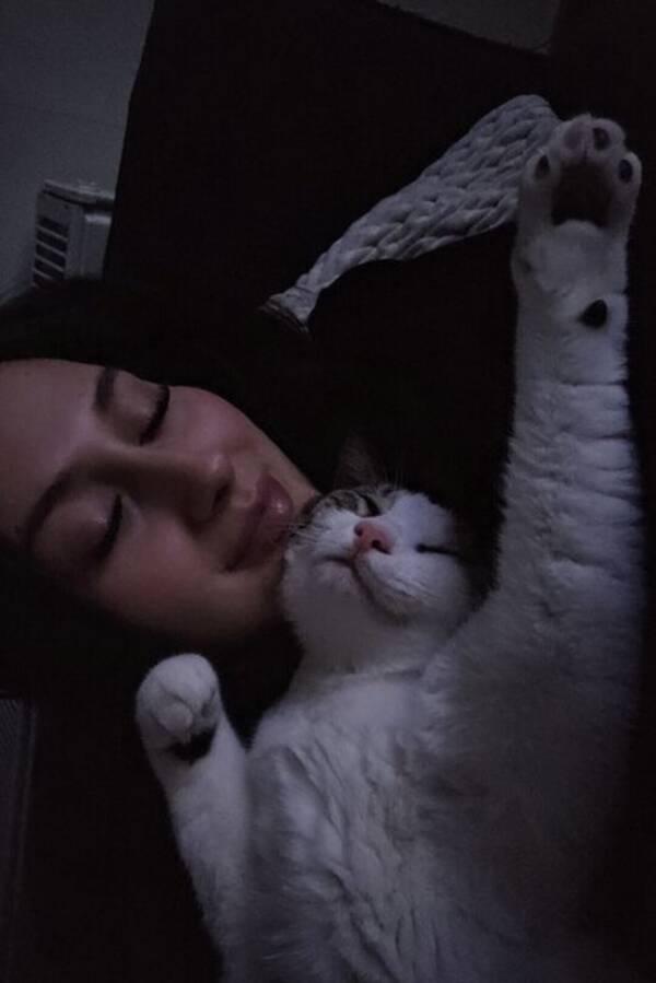 Katt - Min son Sanji Katt - Min son Sanji