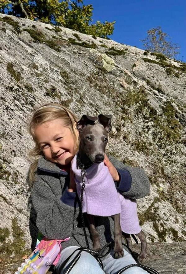 Hund - Nelson