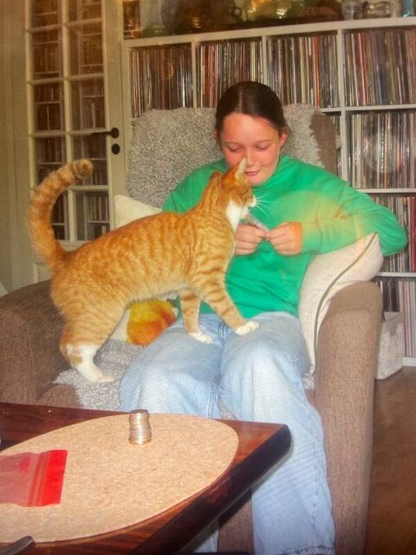 Katt - Odd Karsten  Katt - Odd Karsten