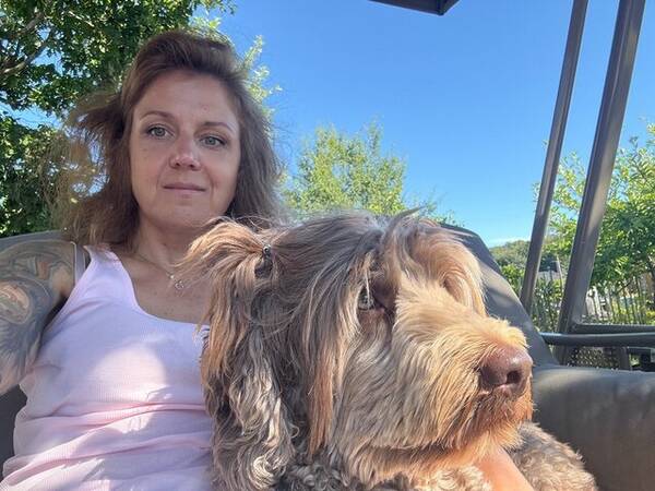 Hund - Australsk Cobberdog