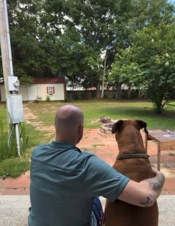 Hund - Don't disturb me Hund - Don't disturb me