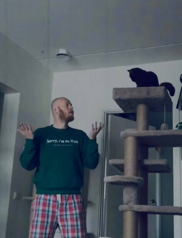 Katt - Hjälp mig hitta denna orange katt Katt - Hjälp mig hitta denna orange katt