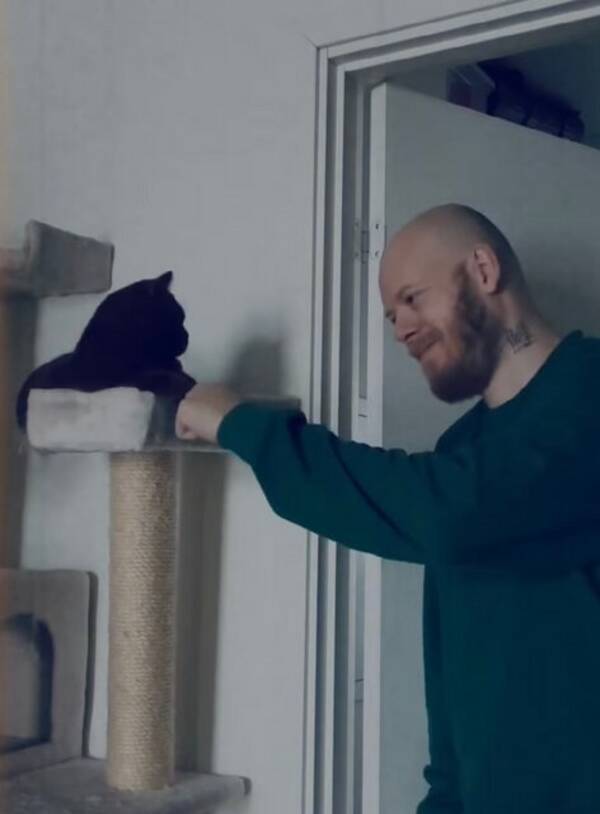 Katt - Hjälp mig hitta denna orange katt Katt - Hjälp mig hitta denna orange katt