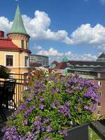 Balkong vån 5 Balkong vån 5