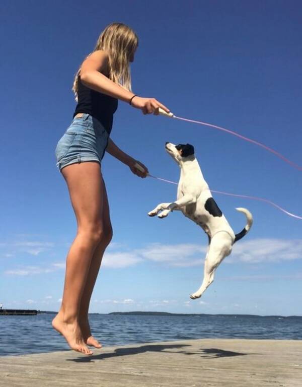 Hund - Doris, Dansk-Svenska grdshund
