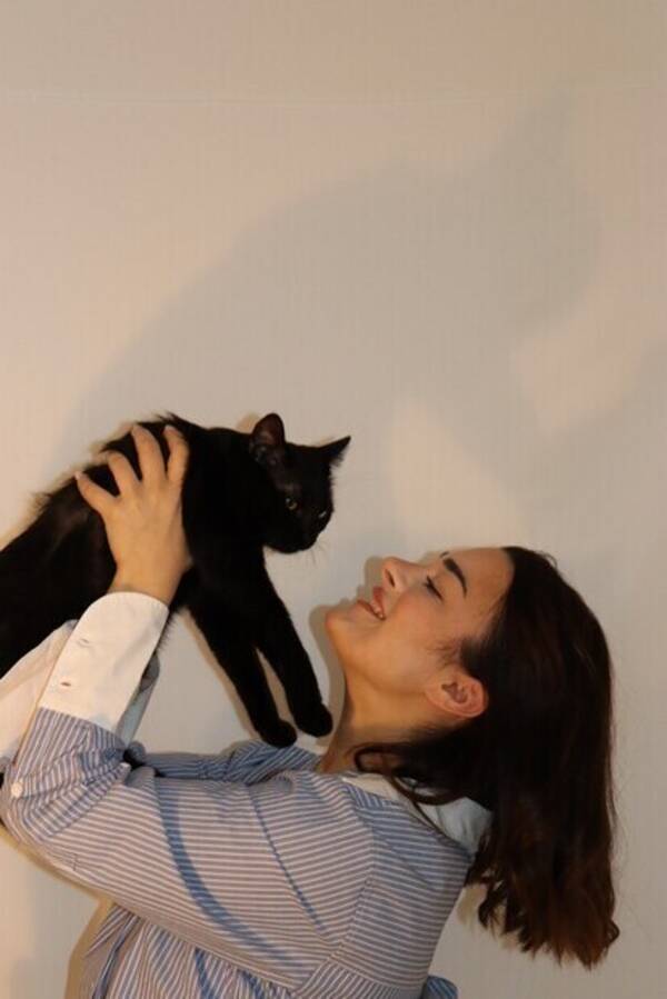 Katt - Bagera 