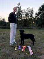 Flat coated retriver