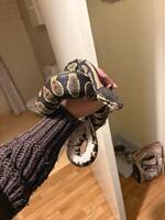 Kungpyton Coco Kungpyton Coco