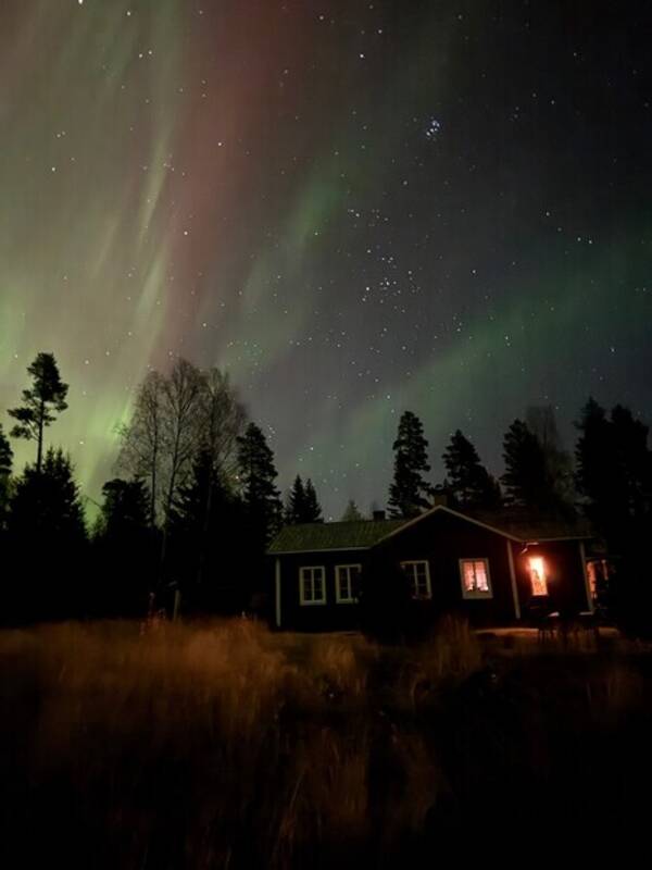 Hus - Hälsinglands skogar  Hus - Hälsinglands skogar