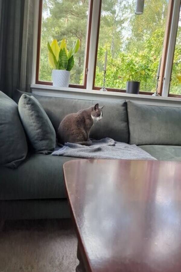 Katt - Zündapp  Katt - Zündapp