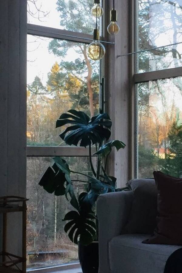 Sommarstuga - Unikt tinyhouse