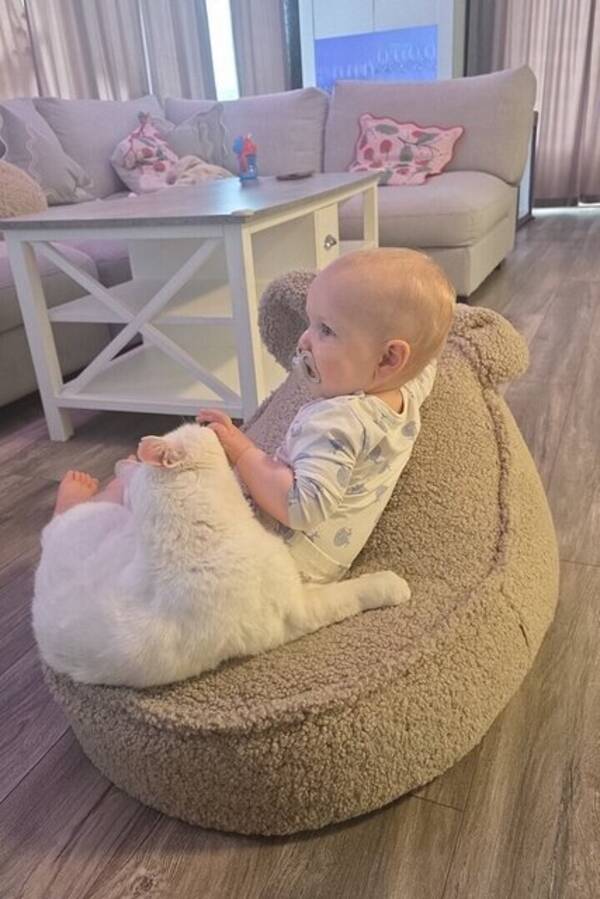 Katt - Katten Taxi Katt - Katten Taxi