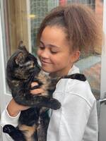 Unika lugna katten Kiara