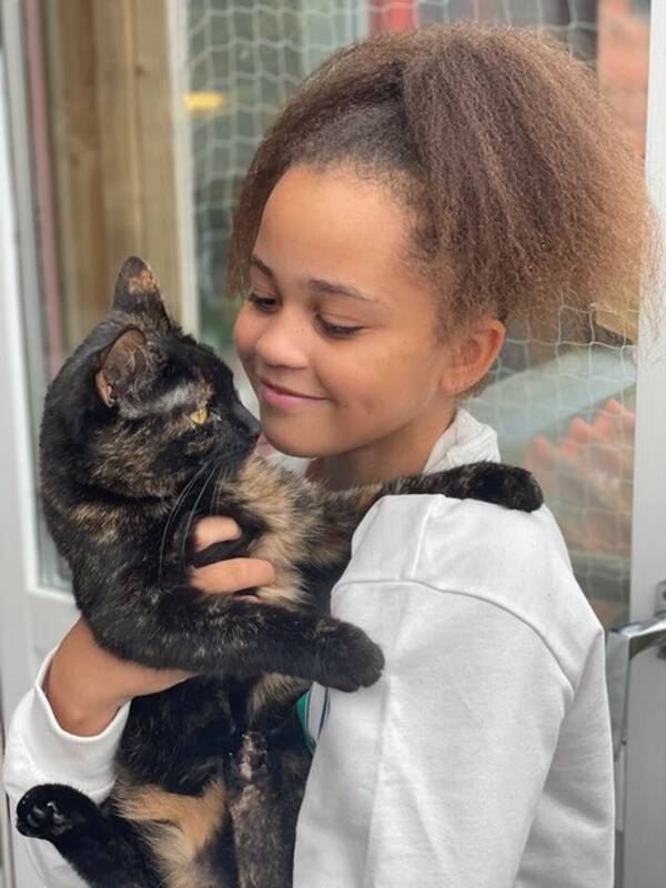 Katt - Unika lugna katten Kiara