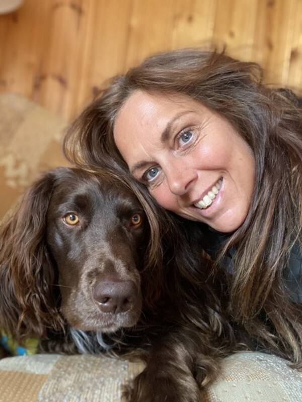 Hund - Wachtelhunden Cash 