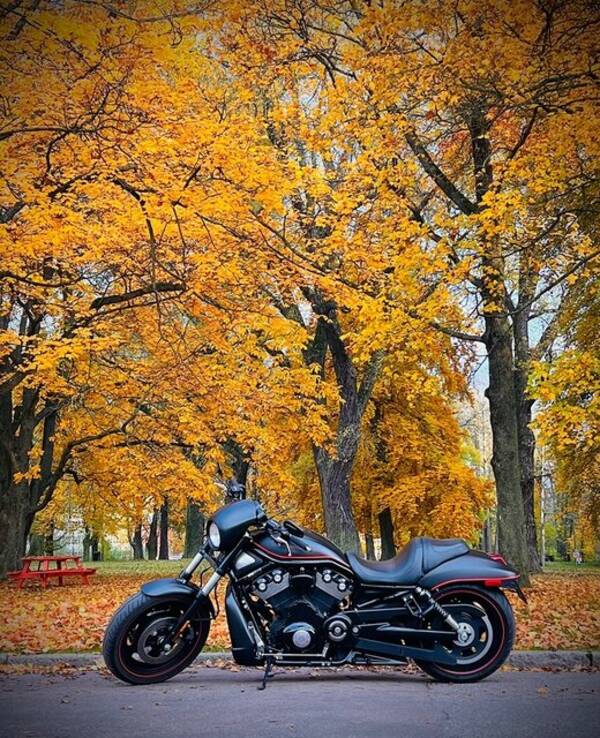 Fordon - Harley Davidson V-Rod Nightrod