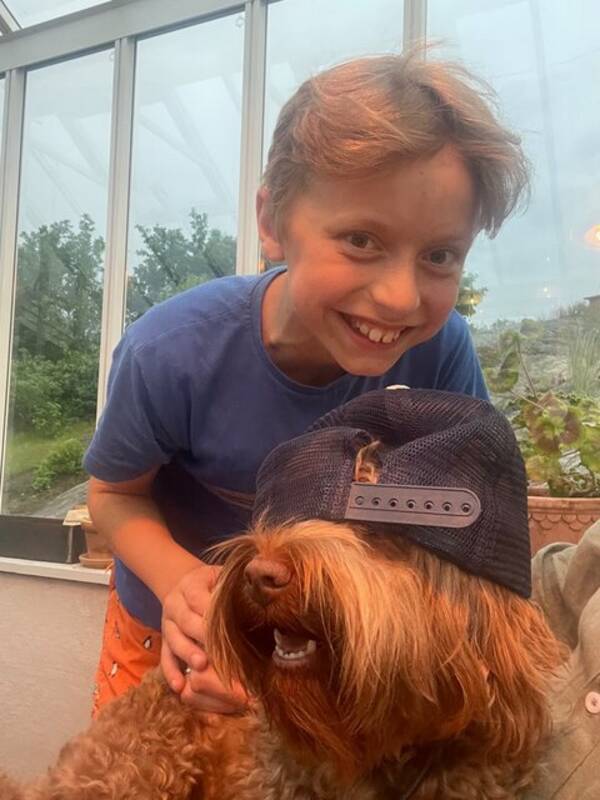 Hund - Liten labradoodle