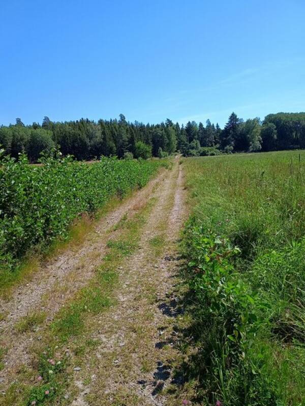 Lgenhet - Skogstomt, flerbostadshus 