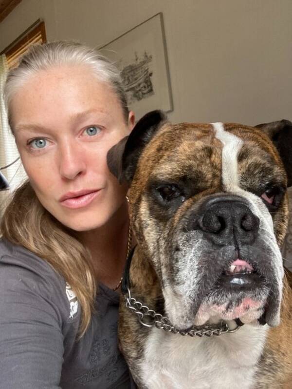 Hund - OLDE Old English bulldog