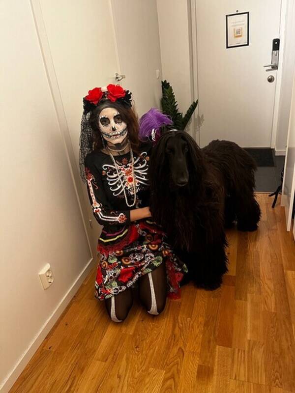 Hund - Bartolomeu Cezar 