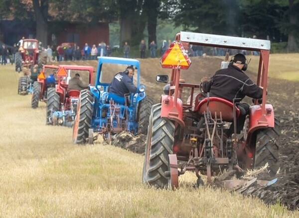 Fordon - Veterantraktorer