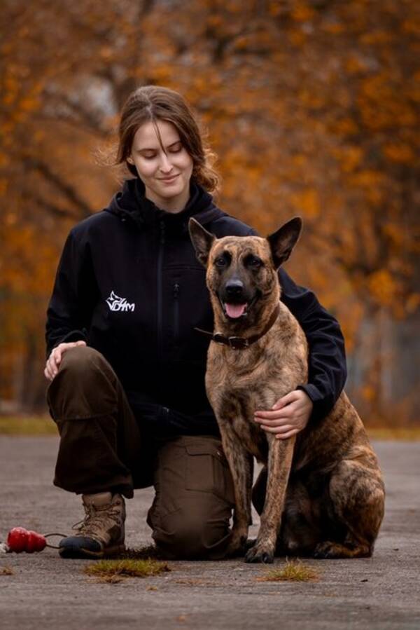 Hund - Rxy Hollndsherdehund/ Malenois