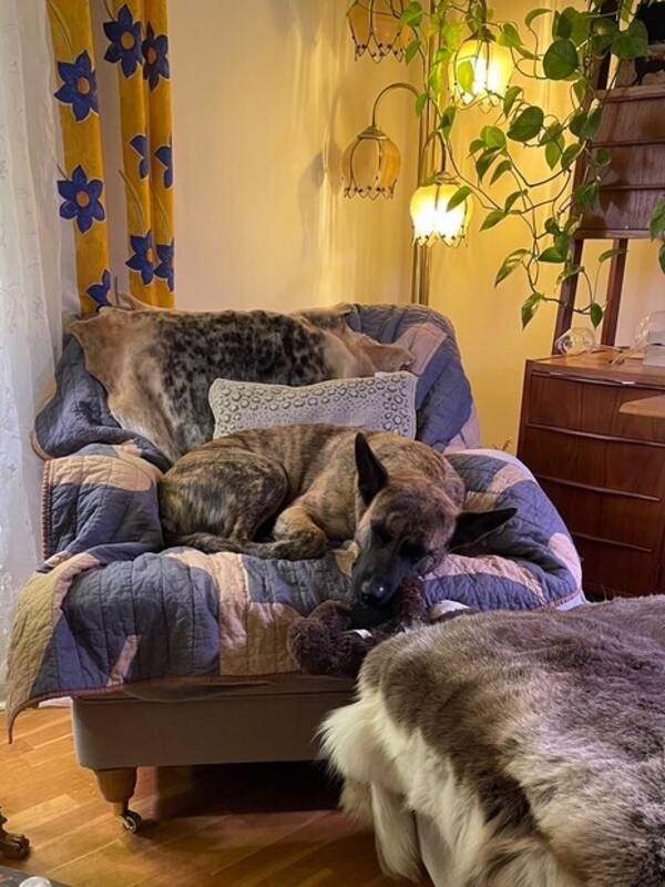 Lgenhet - Eklektisk maximalistiskt vardagsrum