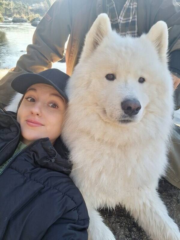 Hund - Samoyedhund, Ainu