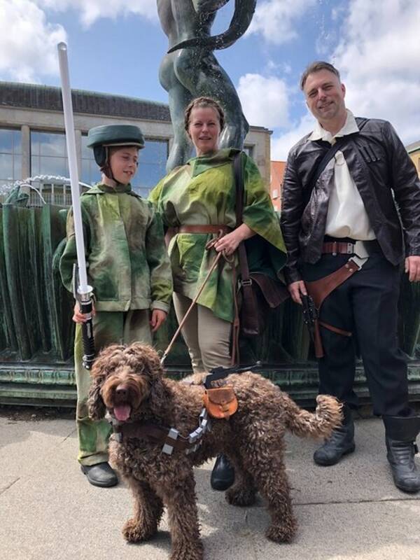 Hund - Sheila,  Australian Cobberdog  20kg