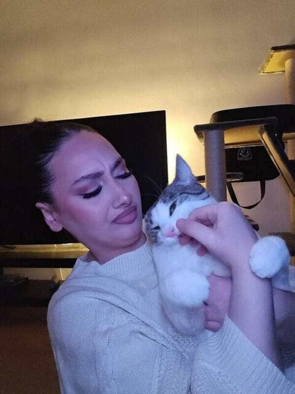 Katt - Tandlöse Sanji