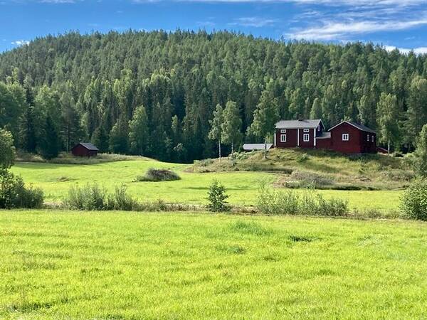 Sommarstuga - 1800-talstorp i Hälsingland 